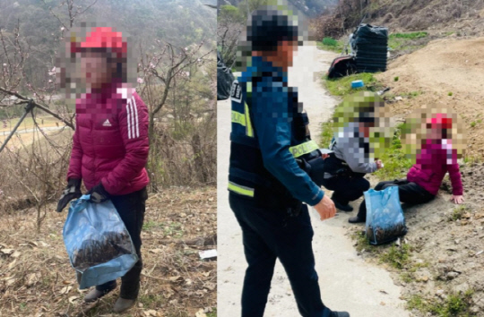 부모님이 정성껏 재배한 두릅을 불법 채취하다가 적발한 여성이 주인 아들에게 붙잡히자 거짓말을 하며 용서해 달라고 했으나, 양손가락에 금반지 5개를 끼고 있었다는 사연. 온라인 커뮤니티 제공